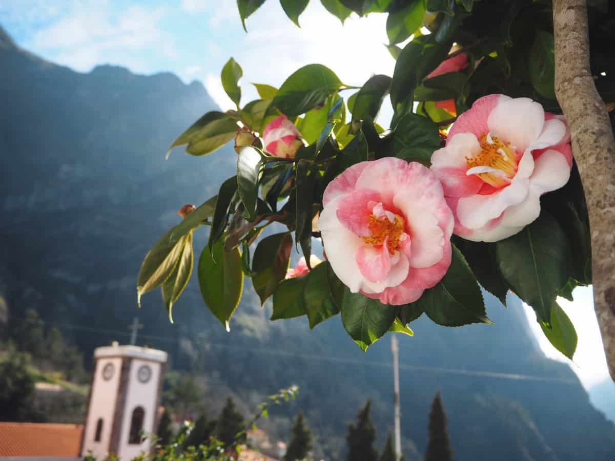 A day trip to the Valley of the Nuns, Madeira (Curral das Freiras) | PACK THE SUITCASES