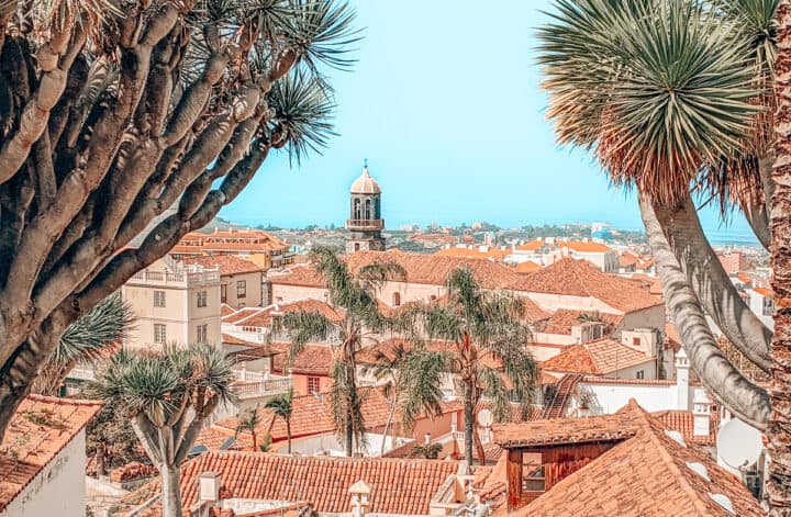 Things to do in Tenerife: in the north of the island | PACK THE SUITCASES